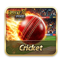 Cricket